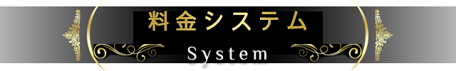 「System Title」